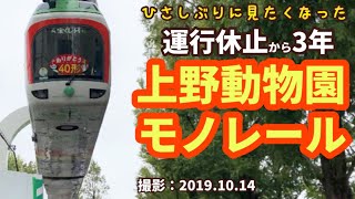 運行休止から約3年。久しぶりに見たくなった【上野動物園モノレール】ありがとう40形☆東京都交通局 上野懸垂線☆撮影:2019年10月14日