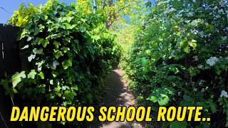 Clearing The Longest OVERGROWN Alley For School Kids!