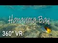 Snorkeling at Hanauma Bay (360 4K VR) | Oahu, Hawaii