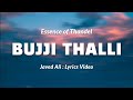 Bujji Thalli Lyrics English (Meaning) Javed Ali | Essence of thandel | Bujji Thalli Song Lyrics