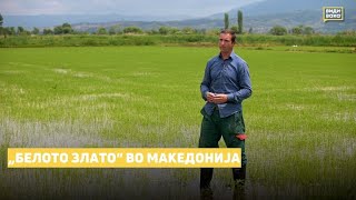 „Белото злато“ во Македонија