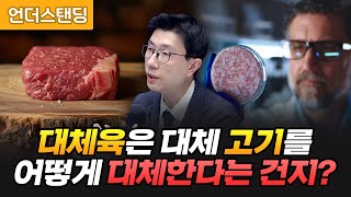 대체육의 고기 맛이 2% 부족한 이유 (언더스탠딩 백종훈 기자)
