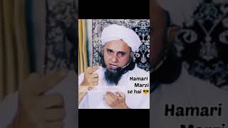 Mullah Omar Attitude Level 💯 Status 🔥 | Tariq Masood New STATUS 🔥 | Short video #shorts #shortvideo