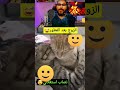 حال المتزوجين في رمضان بعد الفطور هههه فيديو مضحك جدا جدا جدا كوميديا مضحك