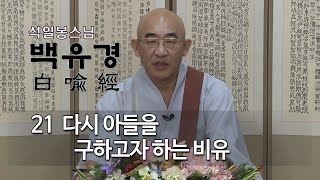 백유경 제15회 - 어떤 여자가 다시 아들을 구하고자 하는 비유