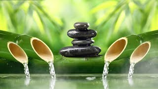 Soothing Relaxation: Healing Bamboo Water Fountain, Nature Sounds, Meditation With Water Sound, Spa