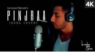 Pinjraa-Cover |Accoustic |Gurnazar | B Praak | Unplugged | Bhupilive