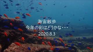 海宙散歩　みなべ＆田辺の海