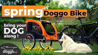 Doggo Bike - dog bike trailer designed for dogs