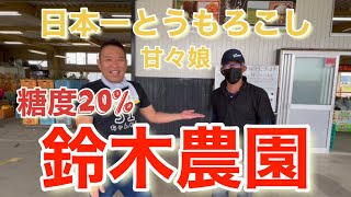 静岡県森町の鈴木農園さんに行ってきました最高糖度がエグイ