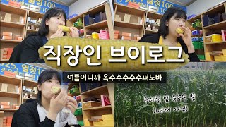 VLOG | 여름이니까 옥수수수수퍼노바 🌽🌽🌽