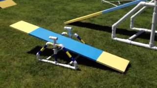 Dog agility equipment by Pet Butlers