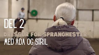 Dressur for spranghester med Ada og Siril | Del 2 S6E6