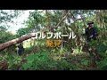 森の新エリア開拓【琉球百花の果樹園への道 6】