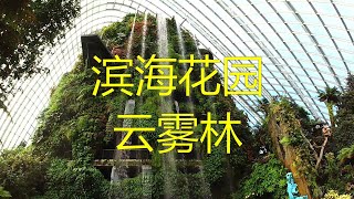 新加坡滨海花园云雾林 01  仙境般的瀑布  | Cloud Forest Waterfall from the Fairytale Land