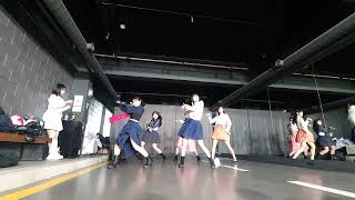 25.1.31 REVIVE X공연 실내공연 DANCETEAM REVIVE X(리바이브엑스) by start Big