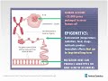 the basics of autism spectrum disorders and the genetic link webinar ambry genetics