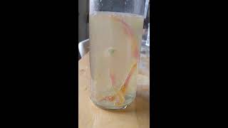 Dancing Gummy Worms Science Experiment