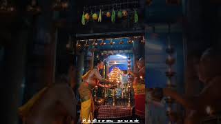 Margazhi Thiruvadhirai Festival | Thirkuttalanatha Swamy Temple