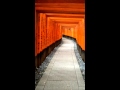 Time lapse Japan - Through the Shrine gates