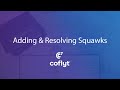 Adding and Resolving Squawks