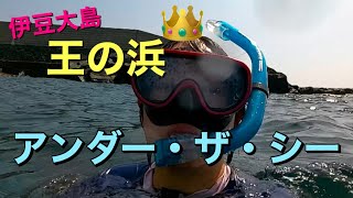 伊豆大島・王の浜【夏なので海中の世界を撮ってみたい！】