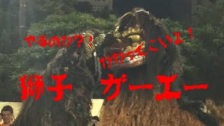 【獅子舞の喧嘩】沖縄 ２０１７年首里文化祭  獅子舞ガーエー