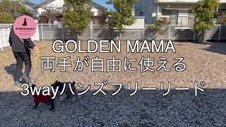 【当店一番人気】3WAYハンズフリーリードの使い方【GOLDENMAMA(ゴールデンママ)】