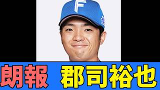 《SHINJOの信条》（捕手の起用について）新たな使い方を編みだしていきたい【プロ野球反応集】【2chスレ】【5chスレ】【北海道日本ハムファイターズ】