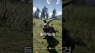 의외로 사람들이 모르는 레데리2 놀라운 디테일 5가지9 [서부 GTA]