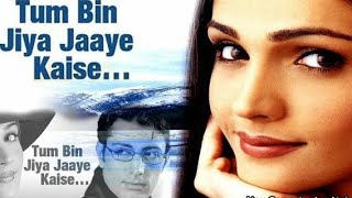 Tum Bin Jiya Jaye Kaise Full Song : |Tum Bin Movie | Priyanshu, Sandali, Rakesh