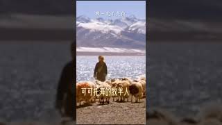 《可可托海的牧羊人》— 雪兒曹雪