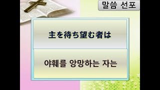 2019/07/14  主を待ち望む者は  야훼를 앙망하는 자는  近藤久靖牧師 콘도히사야스목사 イザヤ書(이사야) 40：31  フルゴスペル山形教会主日礼拝