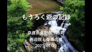 【俳諧記録】#74　奈良県吉野郡下市町　西迎院と白藤の滝