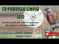 📀1º cd pardillo limpio 2022 cantes directamente grabados 🔝🐦 chant silvestrismo linnote