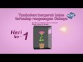 Gerak Balas Tumbuhan Terhadap Rangsangan | Tumbuh-Tumbuhan | Sains Tahun 4|KSSR SAINS SEKOLAH RENDAH