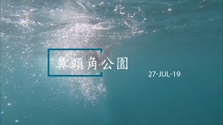 20190727 鼻頭角公園 自由潛水 Bitou freediving