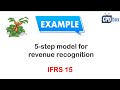 5-step Model for Revenue Recognition under IFRS 15 + Example + Journal entries