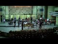 Doru Roman FILARMONICA BANATUL 2012