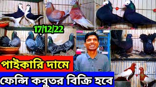 কম দামে কবুতর কিনুন জিয়া ভাইয়ের খামার থেকে | পাইকারি দামে কবুতর বিক্রি হবে