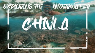 चिवला मधिल पाण्याखालचा खजिना, Exploring the Underwater Treasure of Kokan, Vlog#05