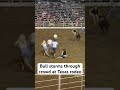 tiktok video shows bull storming through crowd at texas rodeo