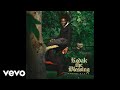 Kodak Black - Bodymore Murderland (Audio)