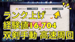 【クリプトラクト】ランク上げ 双剣(エキスパート)手動8手 高速周回 経験値16,704【クリプト】