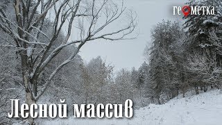 ГЕОМЕТКА.  Лесной массив  (с.Хлопяники)