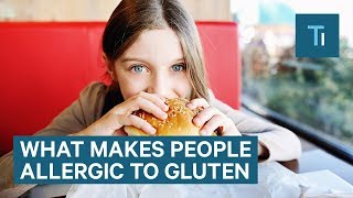 Why People Are Allergic To Gluten — And Why Caucasians Are Most At Risk