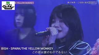 [BISH] - SPARK/THE YELLOW MONKEY