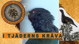 I TJÄDERNS KRÄVA