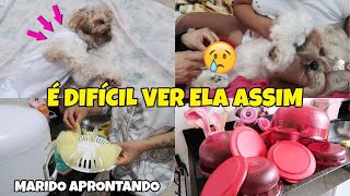 O DIA DA CIRURGIA DA MEL😰 COMO ELA FICOU/QUANTO PAGAMOS? + LAVEI MINHAS TUPPERWARE NOVA| Dani mende