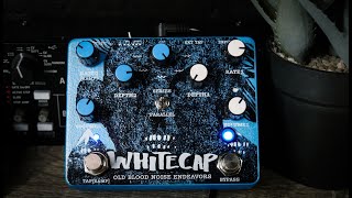 Old Blood Noise Endeavors WhiteCap Asynchronous Dual Tremolo Demo